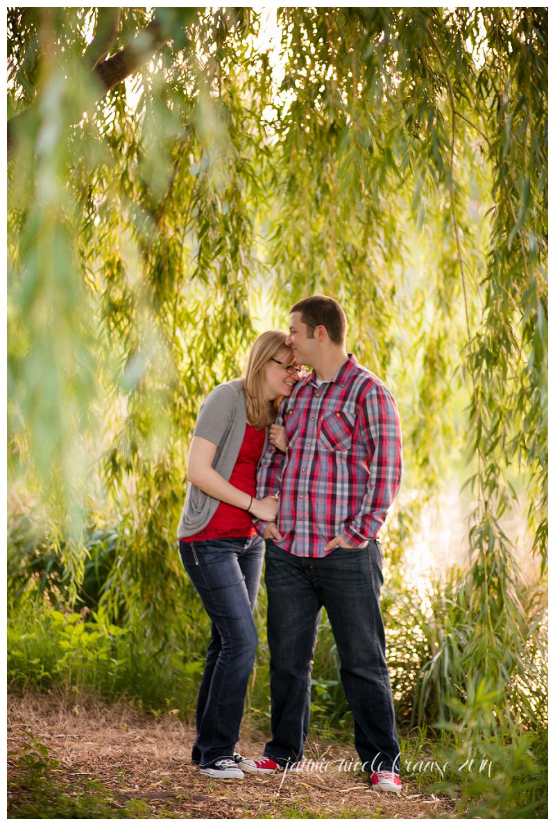 Forest Park Worlds Fair Pavilion Engagement Session