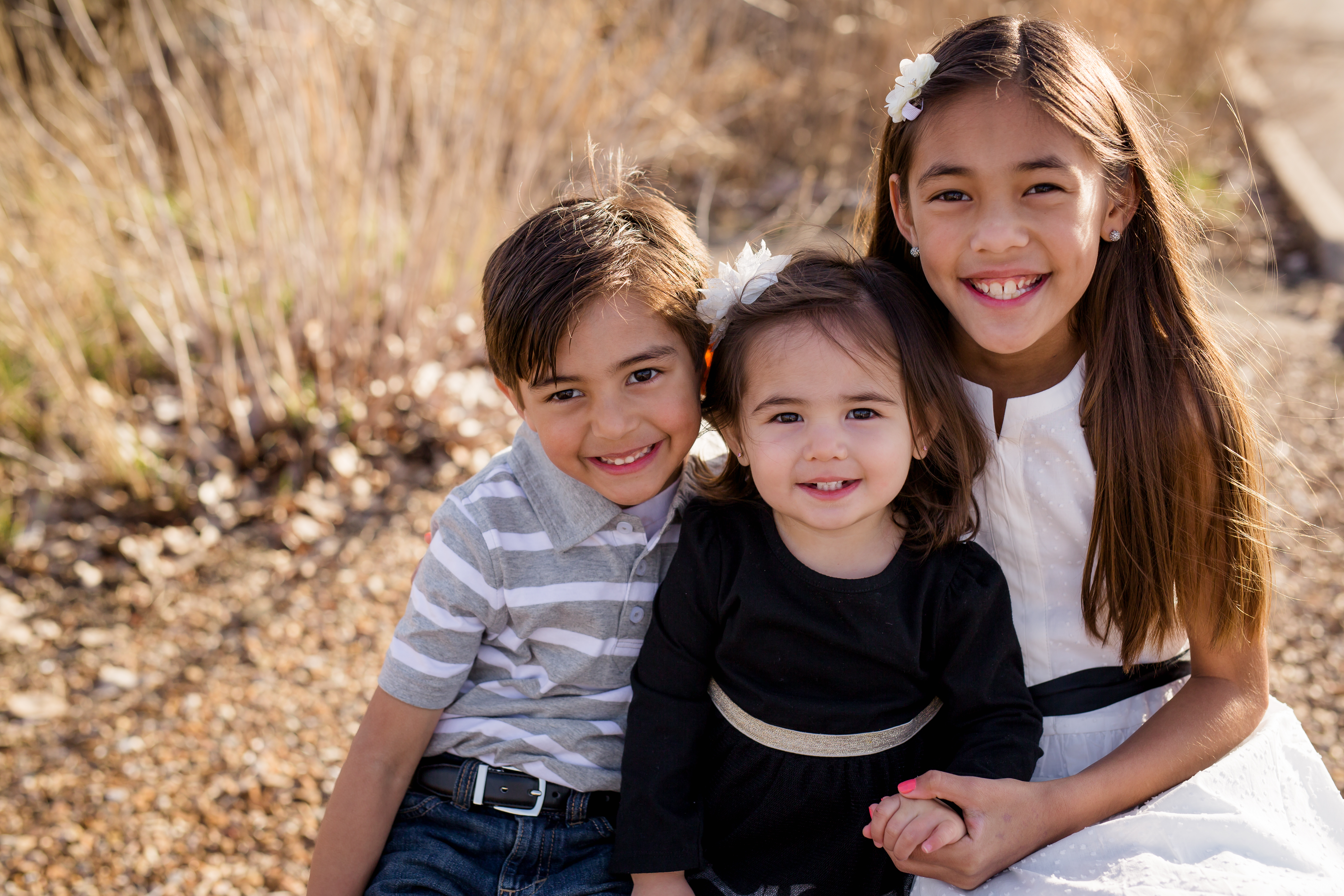 Old St Charles Family Engagement Session