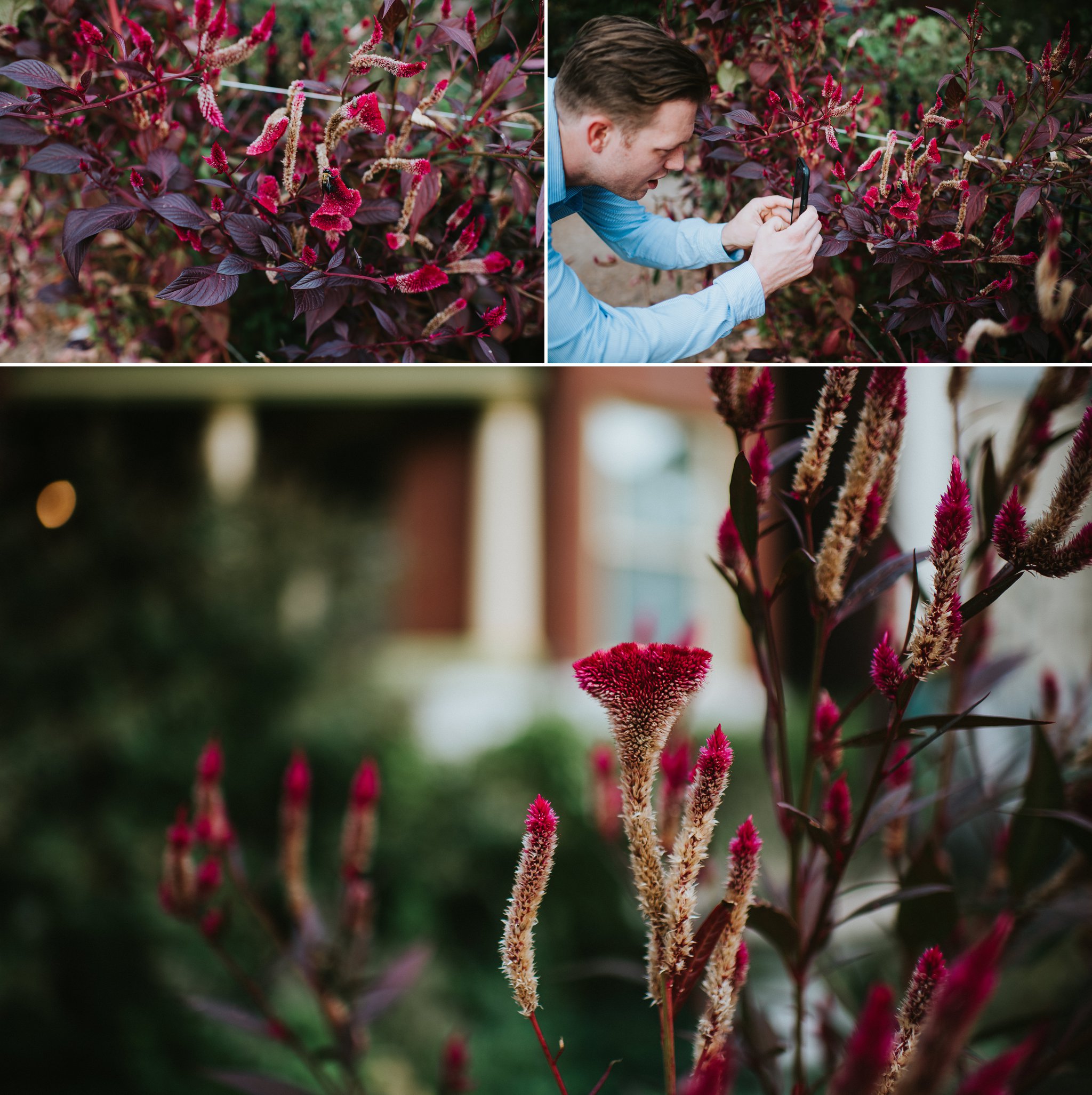 Late Fall Lafayette Park Engagement Photo Session