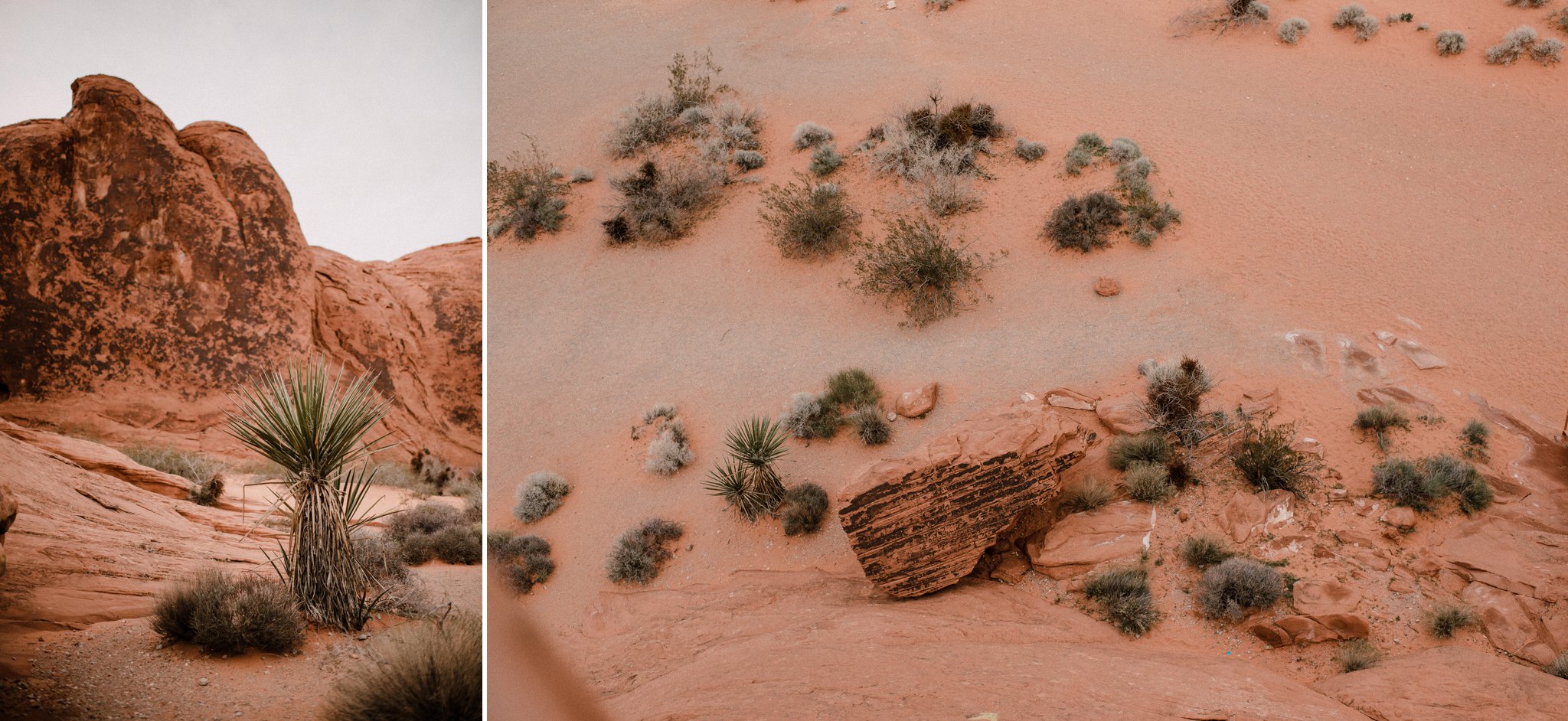 valley of fire state park