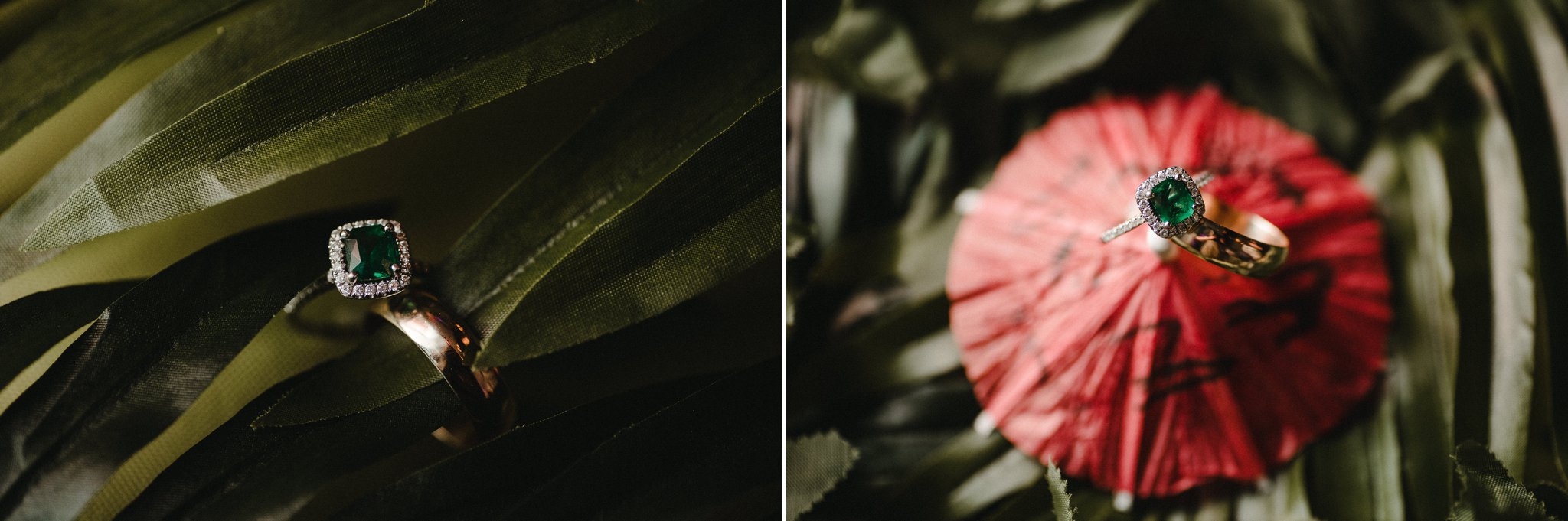 Tower Grove Piper Palm House Wedding