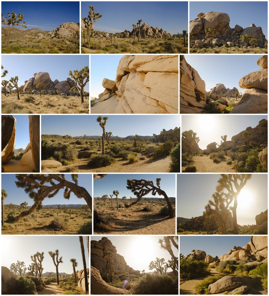 A collage of images of the different locations at Cap Rock in Joshua Tree National Park where couples can have a wedding ceremony. 