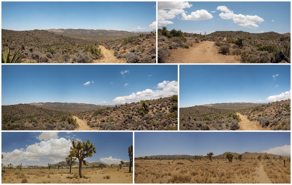 A collage of images of the different locations at Lost Horse Mine Parking Lot in Joshua Tree National Park where couples can have a wedding ceremony. 